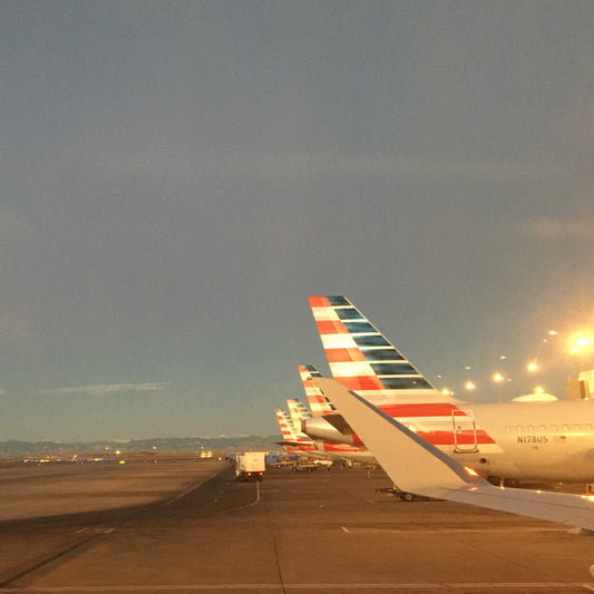 Travel Planning Consultation